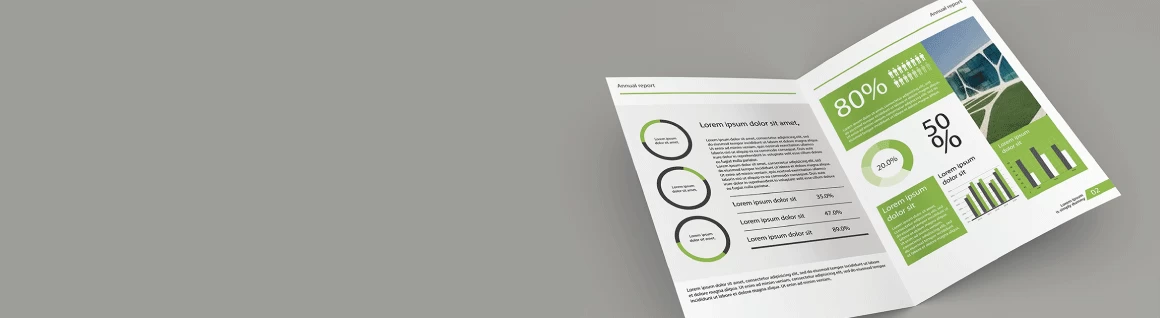 Standard Company Profile - Banner