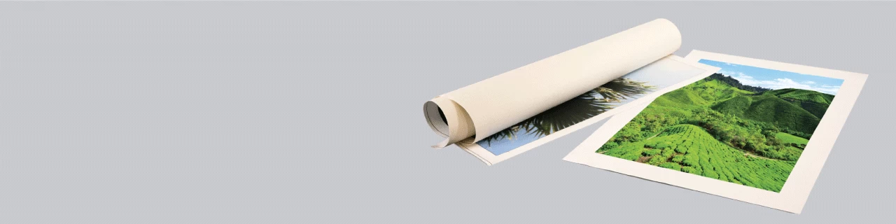 Rolled Canvas Print - Banner