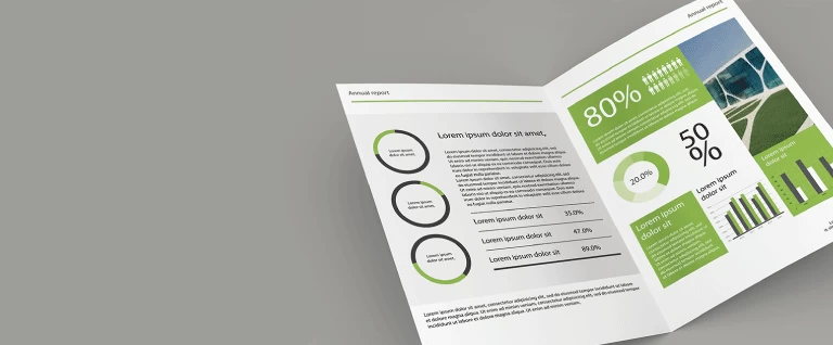 Standard Company Profile - Banner