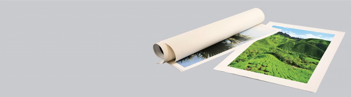 Rolled Canvas Print - Banner