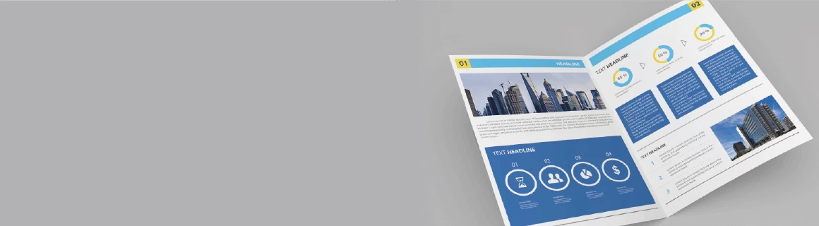 Express Company Profiles - Banner