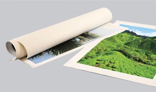 Rolled Canvas Print - Banner