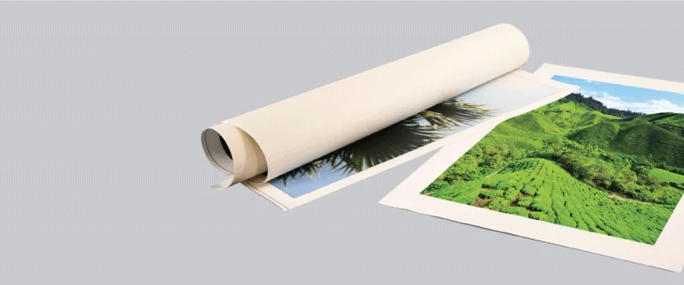 Rolled Canvas Print - Banner