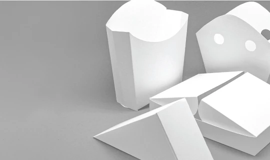 Fast Food Boxes - Banner