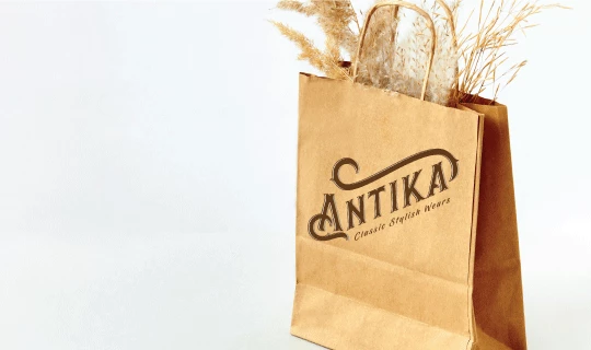 Brown Kraft Paper Bags - Banner