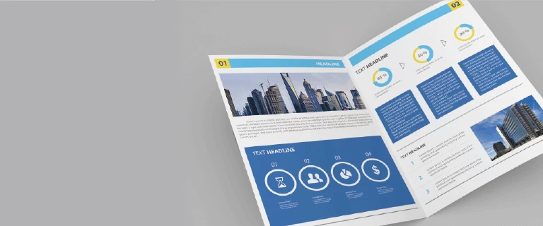 Express Company Profiles - Banner