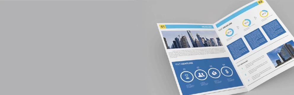 Express Company Profiles - Banner