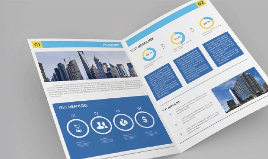 Express Company Profiles - Banner