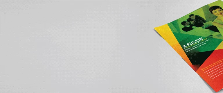 Express Flyers - Banner