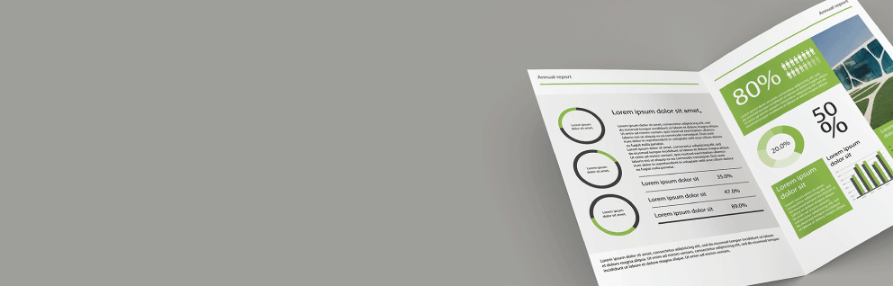 Standard Company Profile - Banner