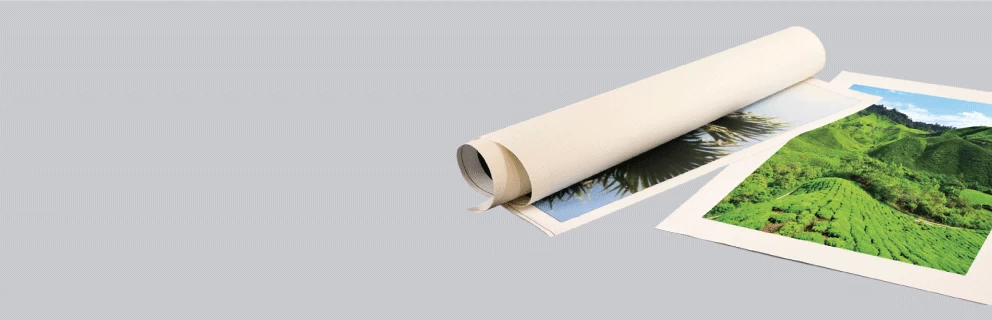 Rolled Canvas Print - Banner