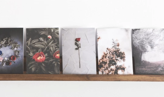 Stretched Canvas Prints - Banner