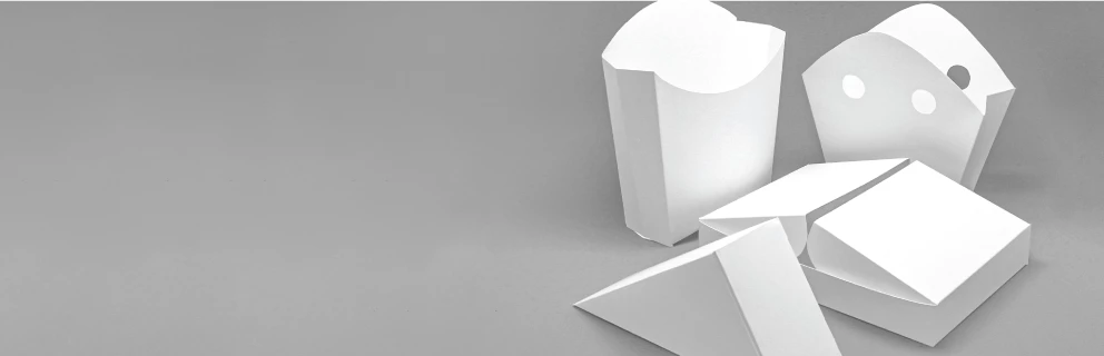 Fast Food Boxes - Banner