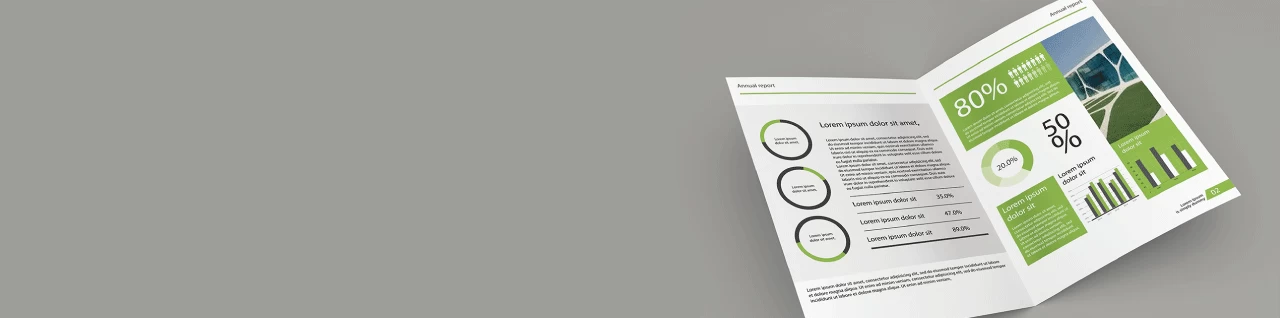 Standard Company Profile - Banner