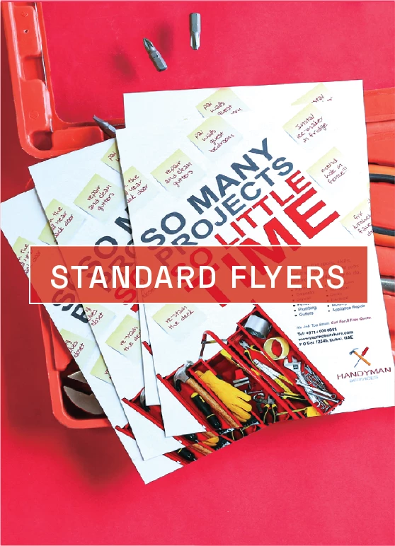 Standard Flyers 1 Image